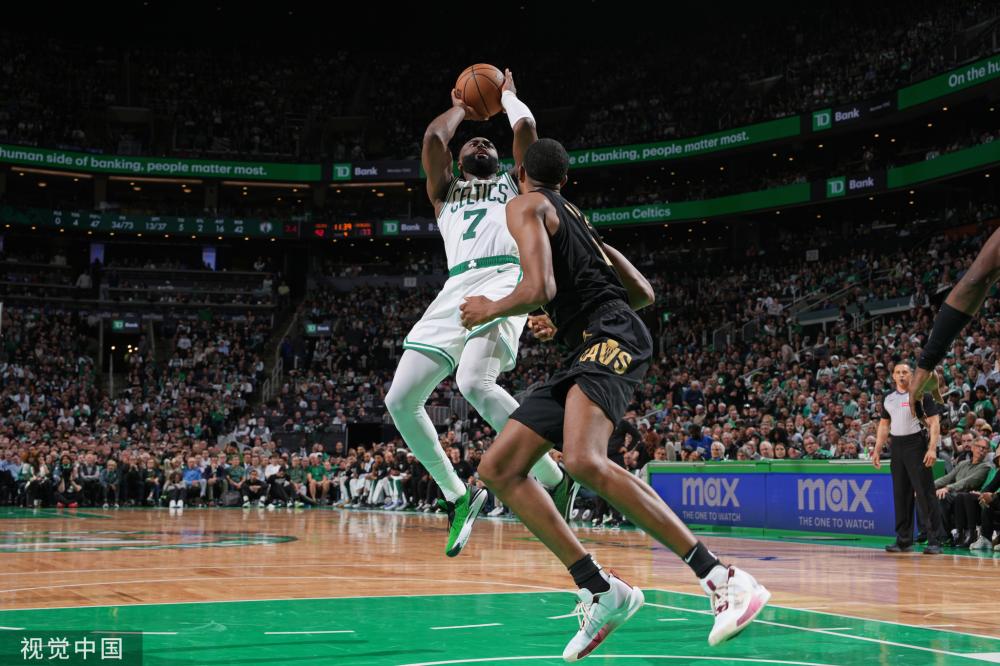 紫百合和红 紫百合和红